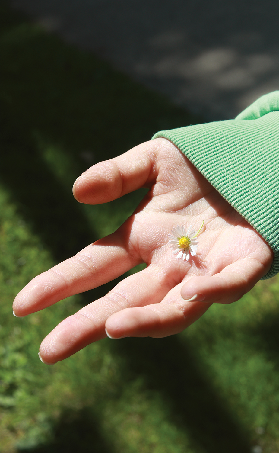 Hand Photography
